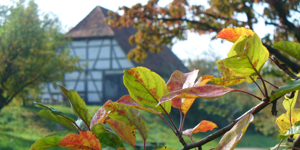 Schafstall im Herbst 990x495