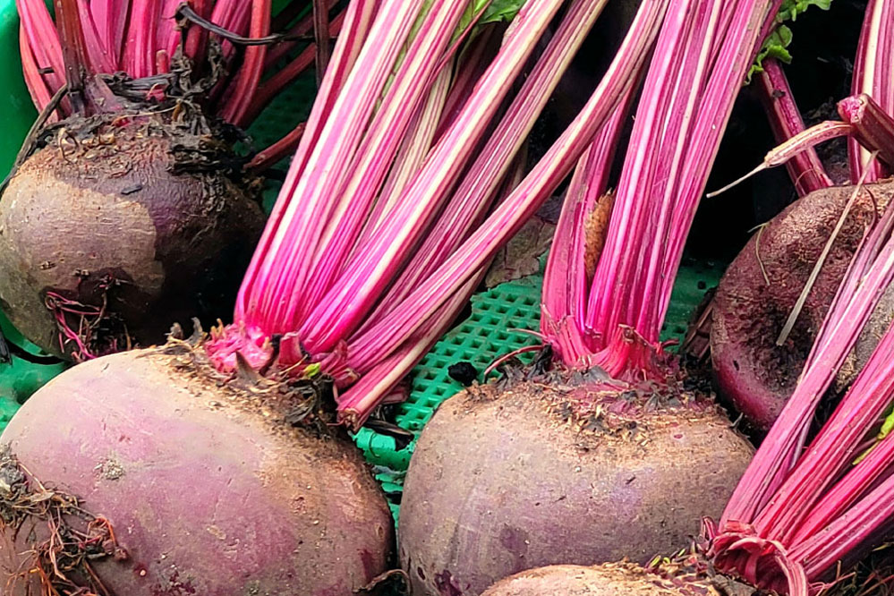 Arche_2026_web_999x666