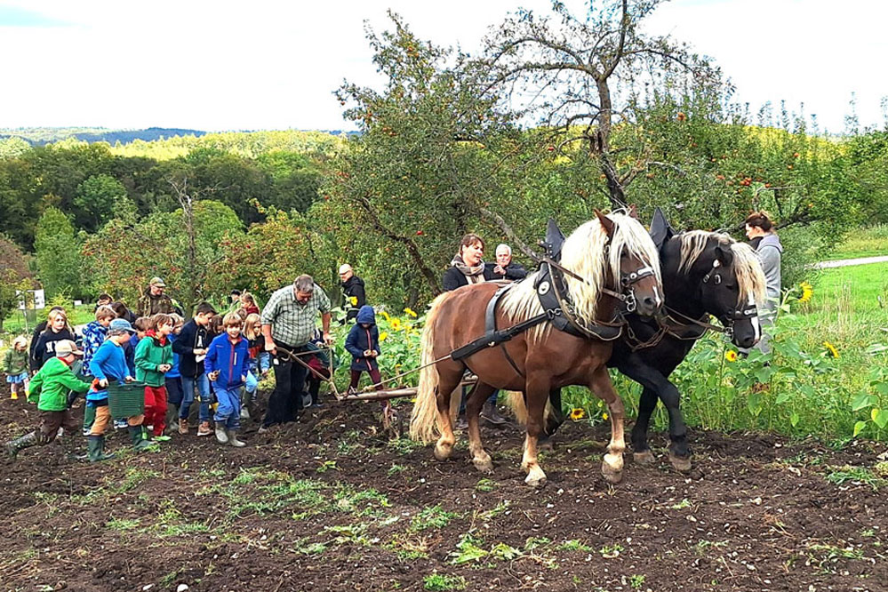 Kartoffeltag_2026_web_999x666